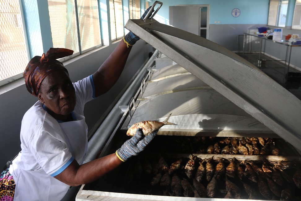 Des mareyeuses ivoiriennes partagent leur savoir-faire au Sénégal