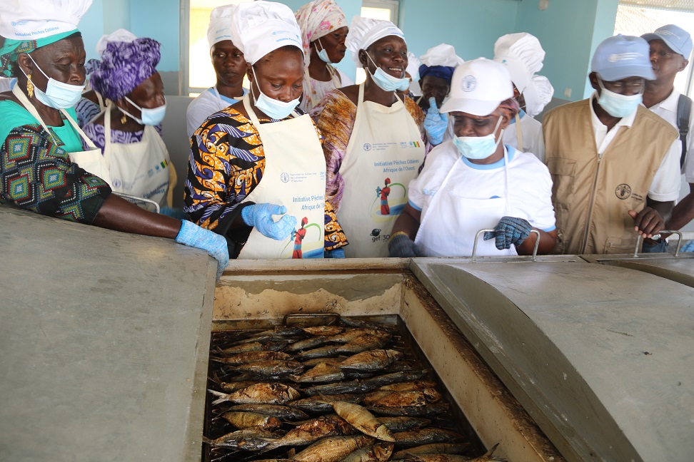 Des mareyeuses ivoiriennes partagent leur savoir-faire au Sénégal