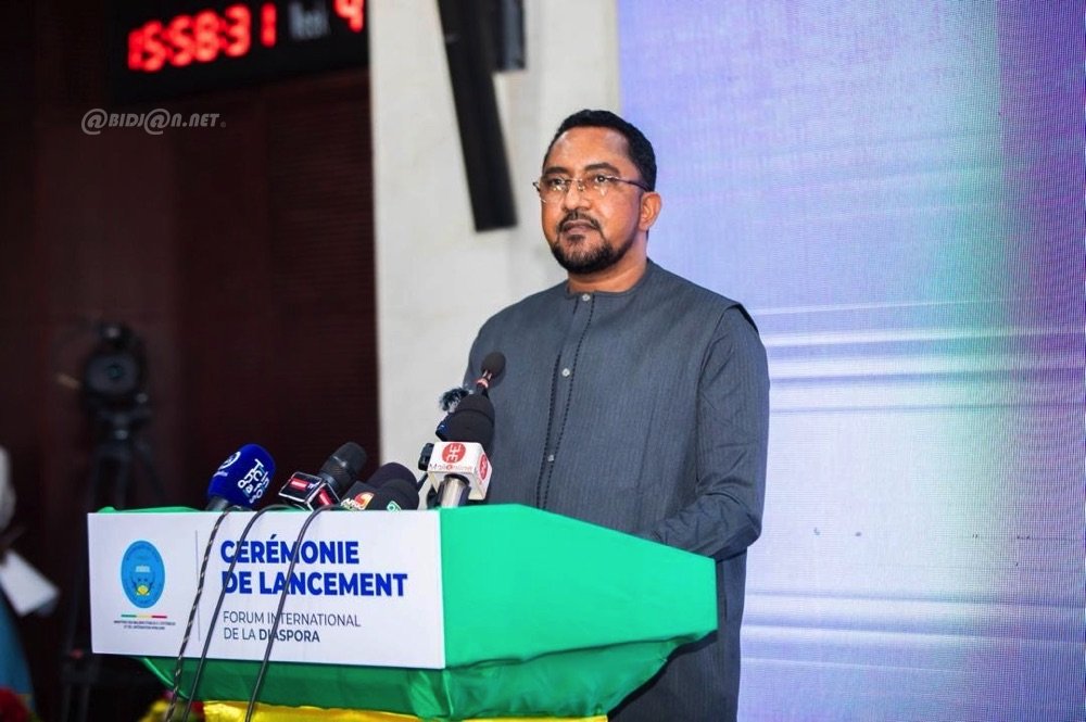 Développement Économique : le Mali met à contribution sa diaspora