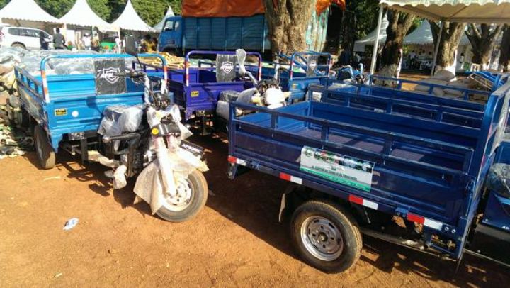 Korhogo: coton la nomadisation des producteurs fragilise la filière Les GI interdits par  la loi ivoirienne  et légalisés par le traité de l’OHADA