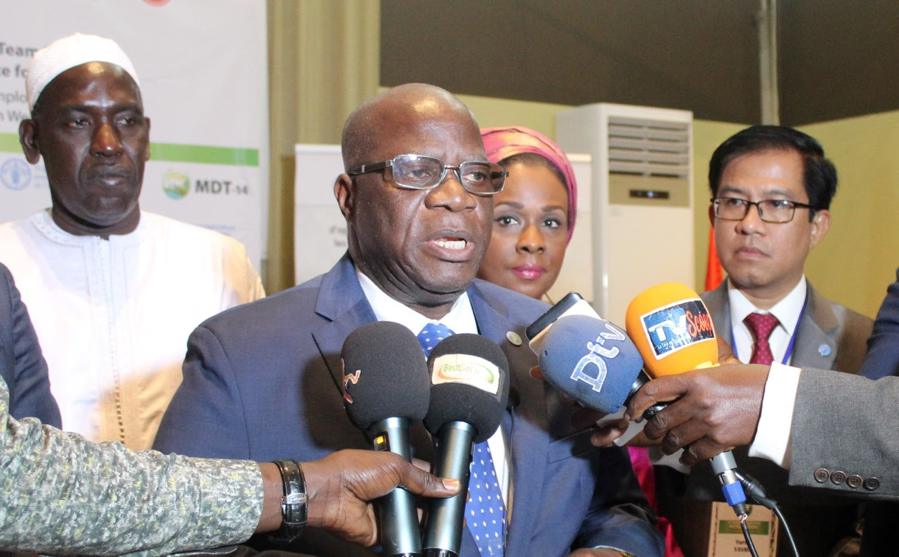 La FAO appelle les Etats africains à saisir les opportunités d'emplois dans le secteur agricole