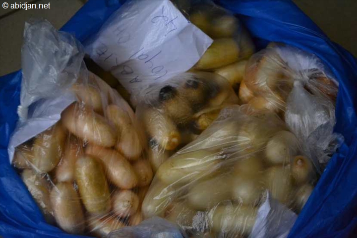 Cote d’Ivoire/ Un orpailleur clandestin arrêté avec du cannabis à Booré (Dimbokro)