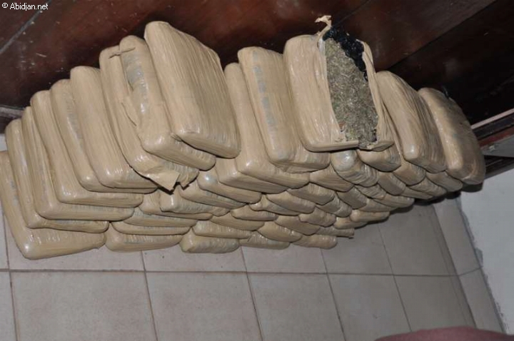 La cellule antidrogue de la gendarmerie de Dimbokro a besoin de plus de moyens