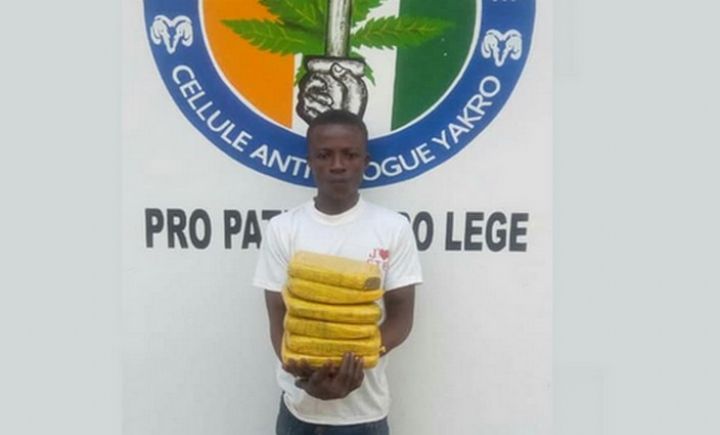 Six Kg de cannabis découverts dans la soute d’un car de transport à Yamoussoukro