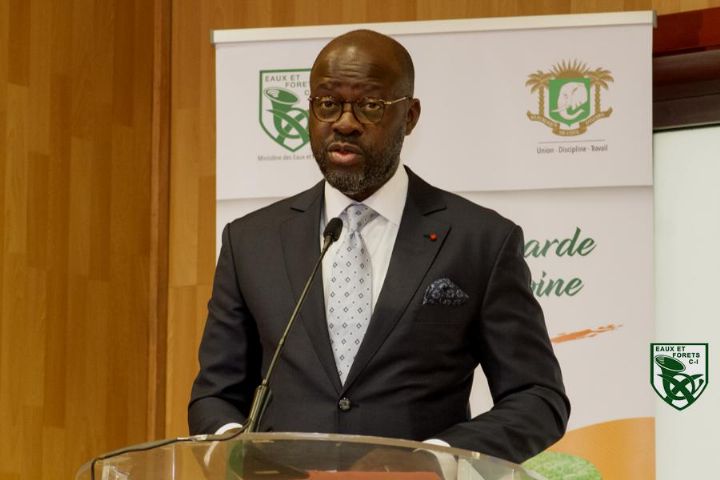 Le projet de loi portant le nouveau code forestier soumis pour adoption aux députés ce jeudi