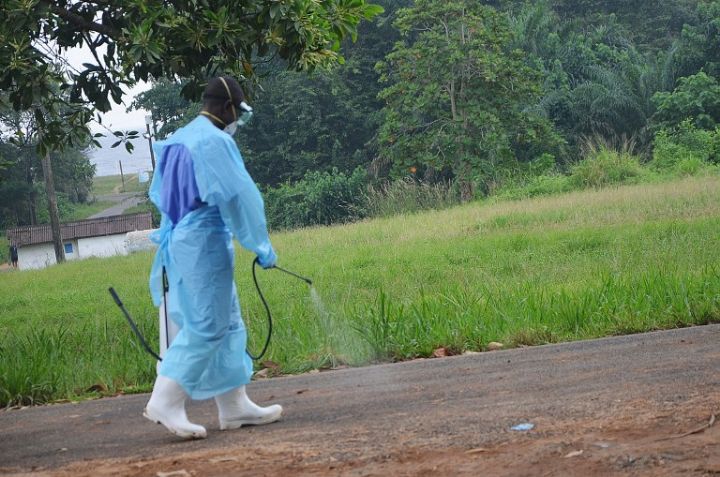 Sommet extraordinaire des dirigeants de l’Union du fleuve Mano sur la crise d’Ebola