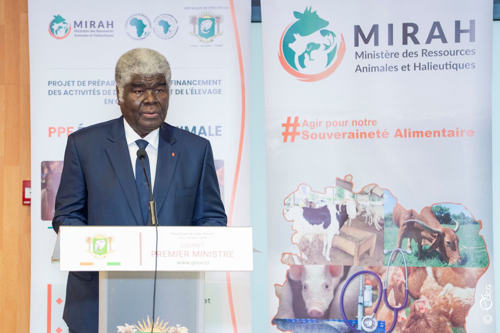 Économie animale : la Côte d’Ivoire mobilise tous les acteurs pour franchir un nouveau cap