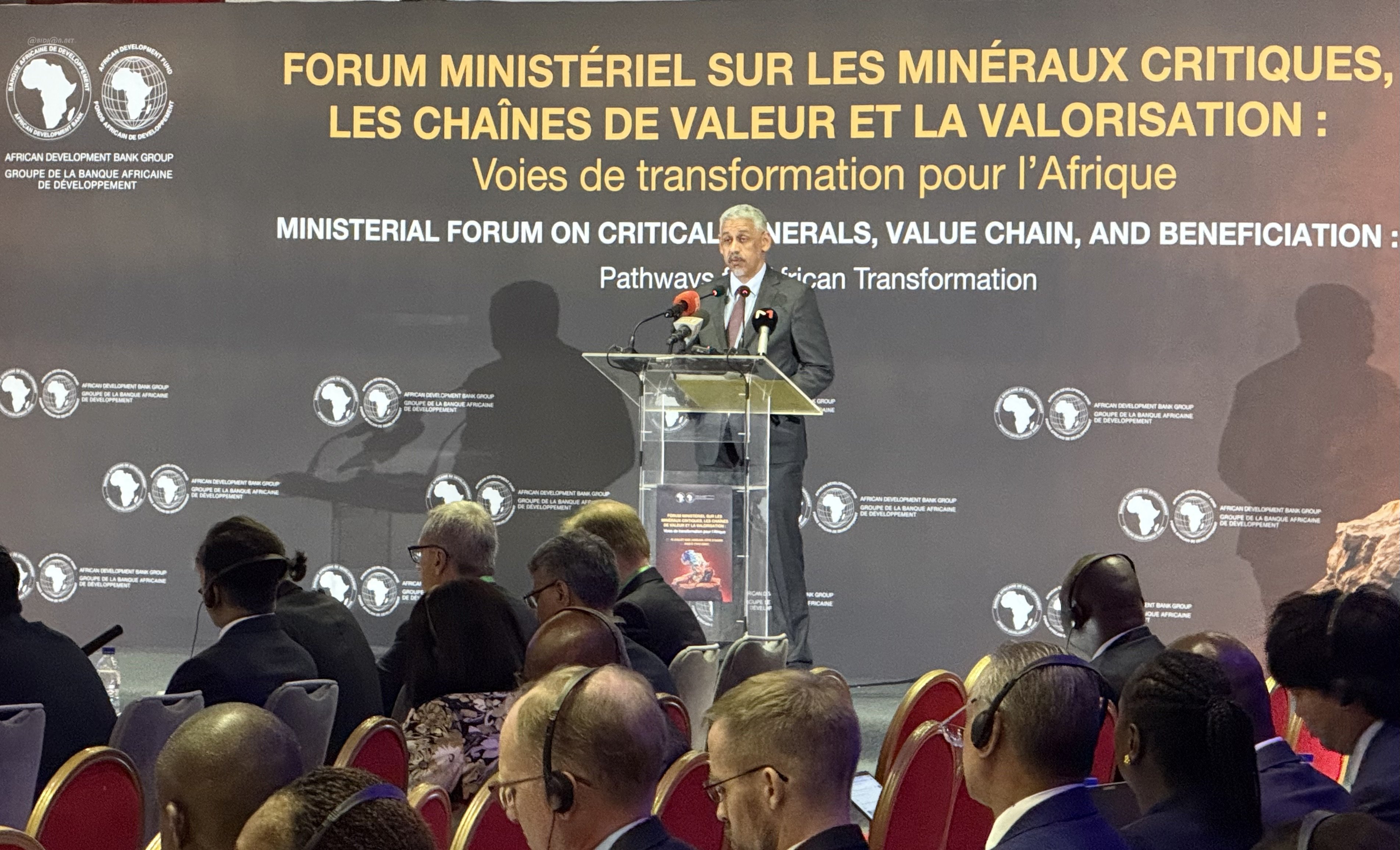 Économie : la BAD appelle l’Afrique à transformer ses minéraux critiques en moteur de développement industriel