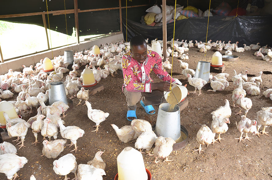 Emploi Jeunes : Des résultats probants qui témoignent des efforts du Gouvernement pour faciliter l'insertion socioprofessionnelle des jeunes