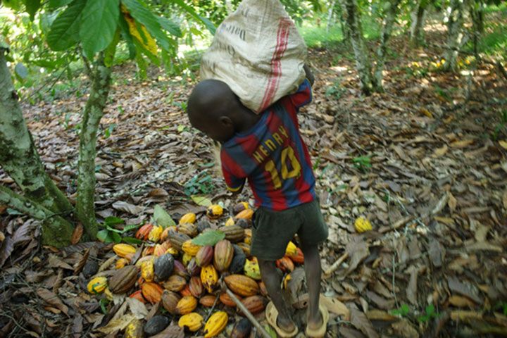 En Côte d’Ivoire, la difficile lutte contre le travail des enfants dans le cacao