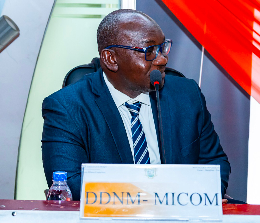 #EnLigneTousResponsables  : des agents du Ministère des Finances et du Budget formés à l’utilisation saine du numérique