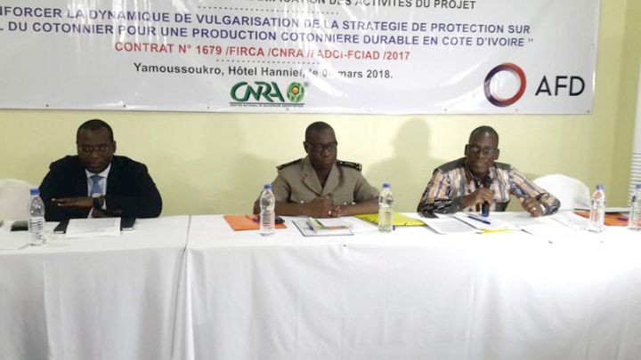 Traitement phytosanitaire du Cotonnier : lancement à Yamoussoukro du projet « Fonds Compétitif pour l’Innovation Agricole Durable (FCIAD) »
