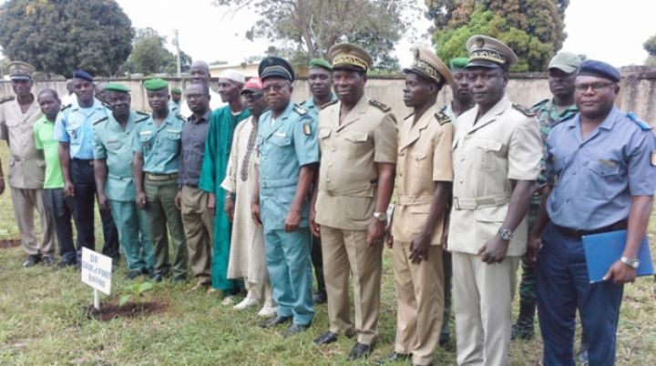 Journée nationale de la paix: Les populations du Bafing invitées à la préservation de la forêt