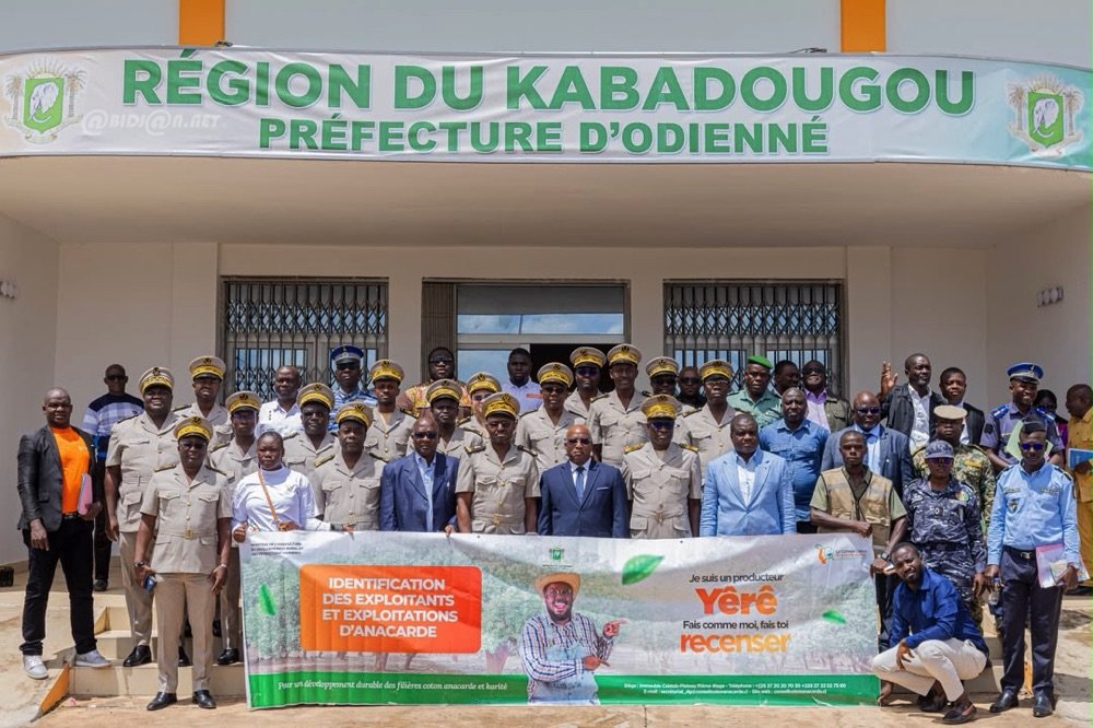 Filière Anacarde/ Identification des exploitants et des exploitations : le Conseil Coton Anacarde Karité (CCAK)