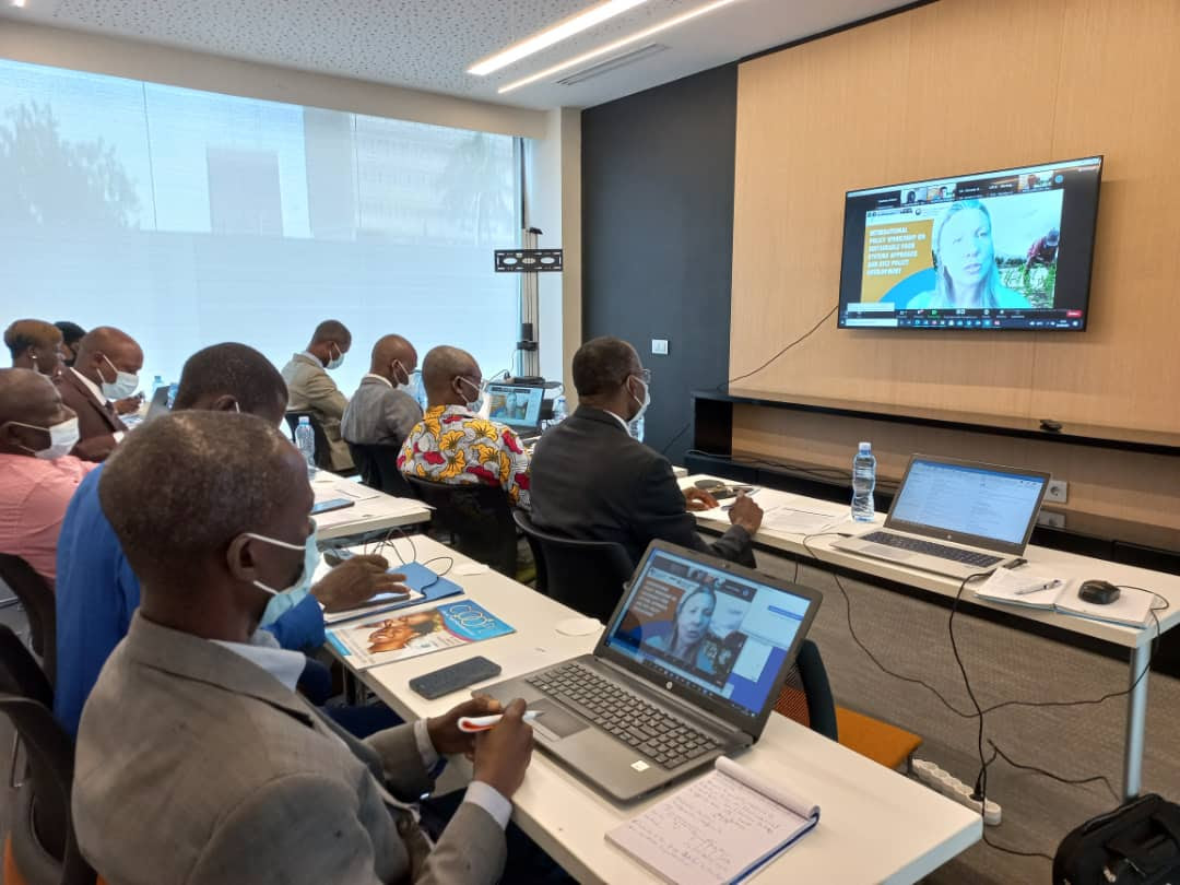 Filière riz: la FAO renforce l'expertise des acteurs ivoiriens pour une autosuffisance