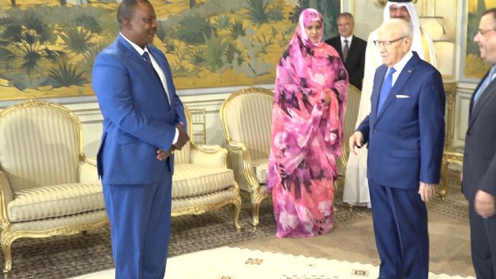 Coopération Cote d’Ivoire - Tunisie: Le ministre Adjoumani reçu en audience par le président Tunisien