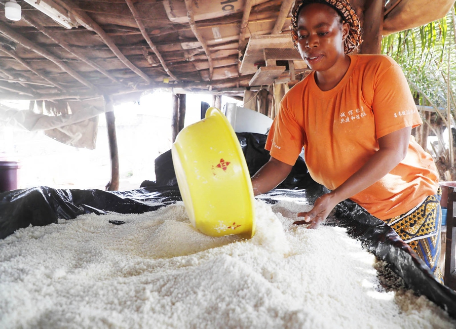 Fonds d'Appui au Secteur informel (FASI): la Coordination générale du Psgouv échange avec une bénéficiaire installée dans la transformation artisanale de manioc en attiéké à Yamoussoukro