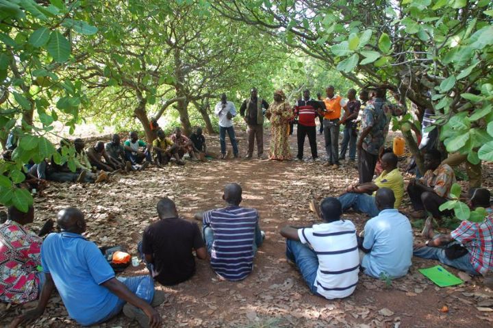 La question des OGM dans la cotonculture ivoirienne en étude à Grand-Bassam