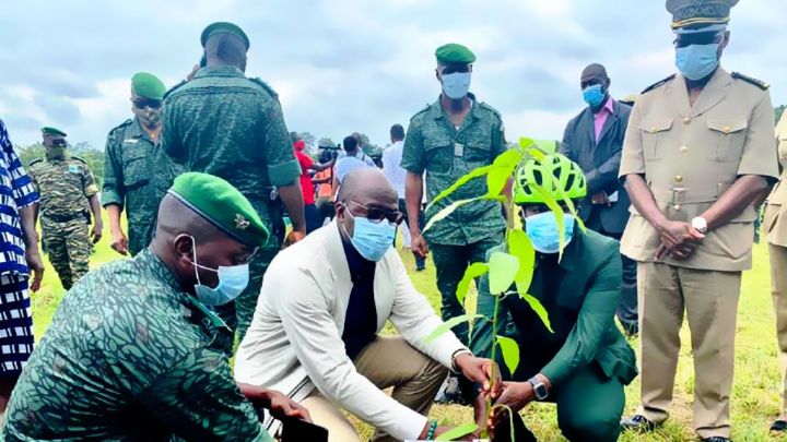 Reconstitution de la forêt : le ministre Alain-Richard Donwahi prend part à l’opération « un jour, 5 millions d’arbres » à Yamoussoukro