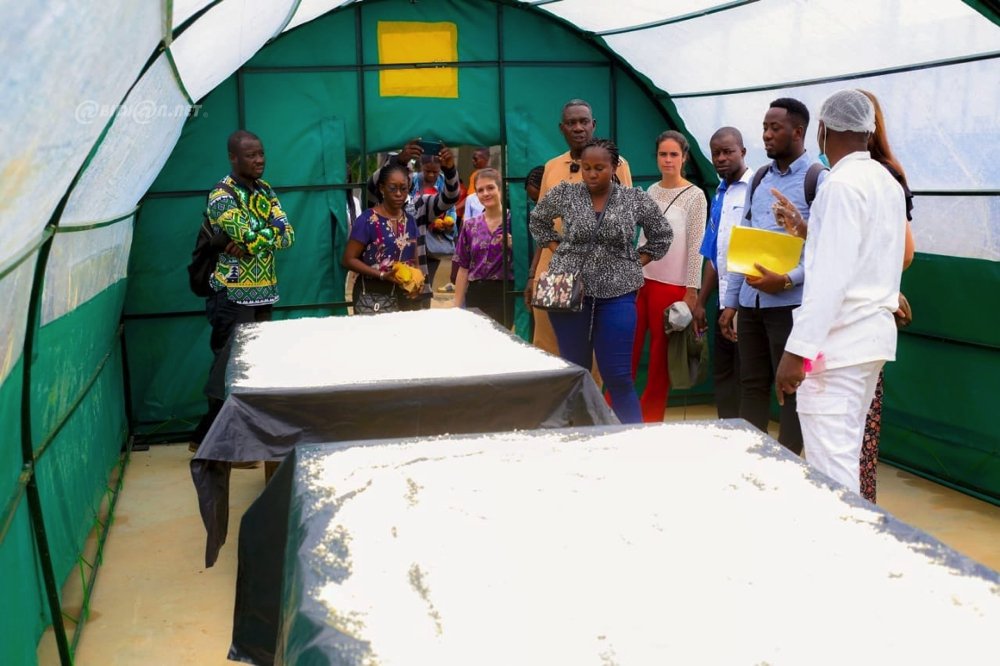 Formation : suivi-évaluation de l'unité de production d’Attiéké et des supports pédagogiques à 