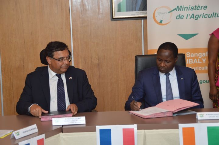 Foncier rural : le gouvernement ivoirien signe un protocole d’accord avec la société MEMORIS