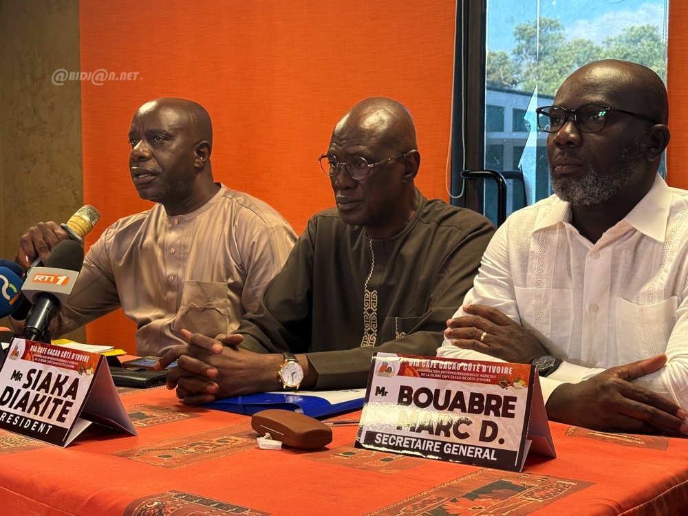 Gestion des stocks de cacao : l’Organisation interprofessionnelle agricole plaide pour une réorganisation du circuit d’enlèvement