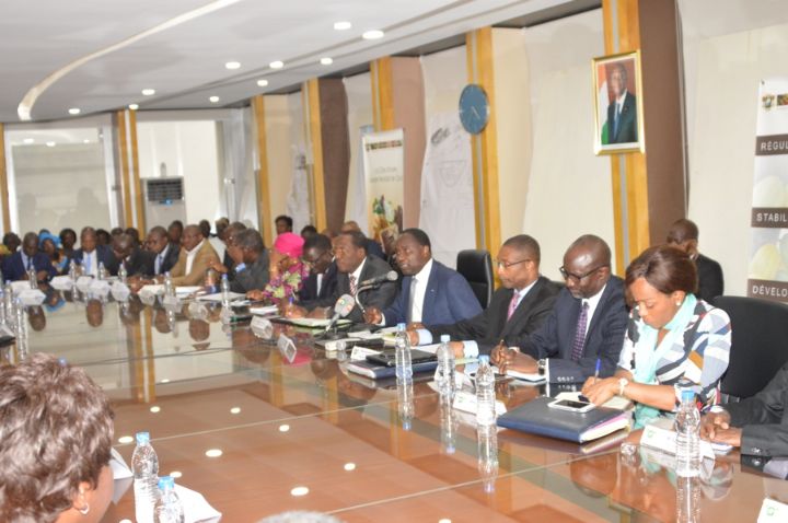 Révolution verte en Afrique : les Etats espèrent passer de la fiction à la réalité