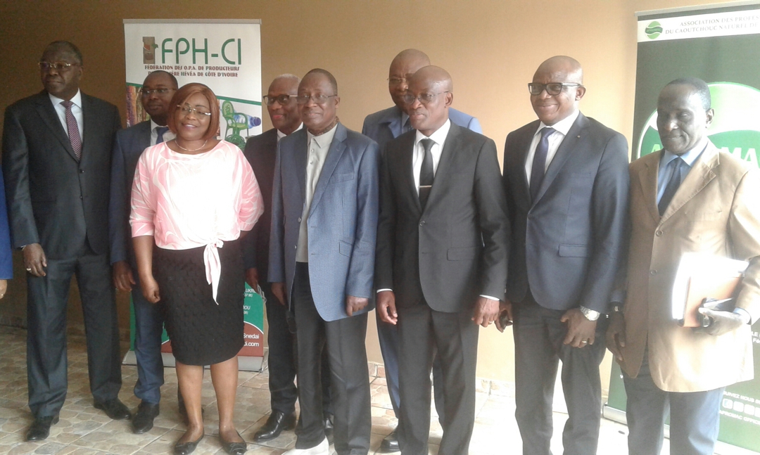 Hévéa: la Côte d'Ivoire veut restaurer 100 000 ha d'ici à 2027