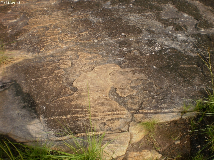 « La vie sur terre a commencé à Kiriao (Facobly) », affirment des rastas