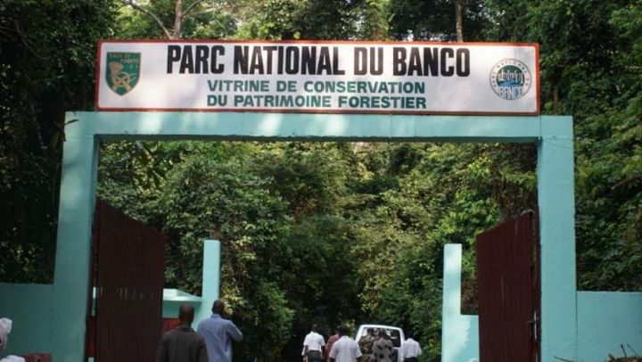 Metro d’Abidjan : 25 ha du parc du Banco cédés pour le projet