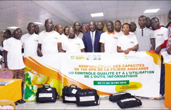 Défis de la qualité dans la filière anacarde: des kits d’analyse et des micro-ordinateurs pour 100 coopératives