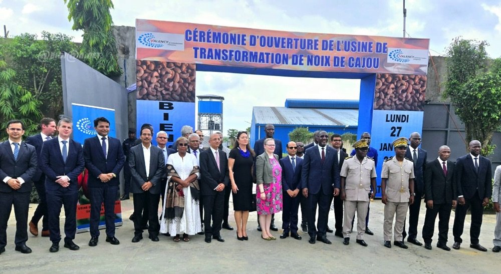 Inauguration d’une usine de transformation de noix de cajou à Attingué : Un nouveau souffle pour l'économie locale, selon le CEPICI