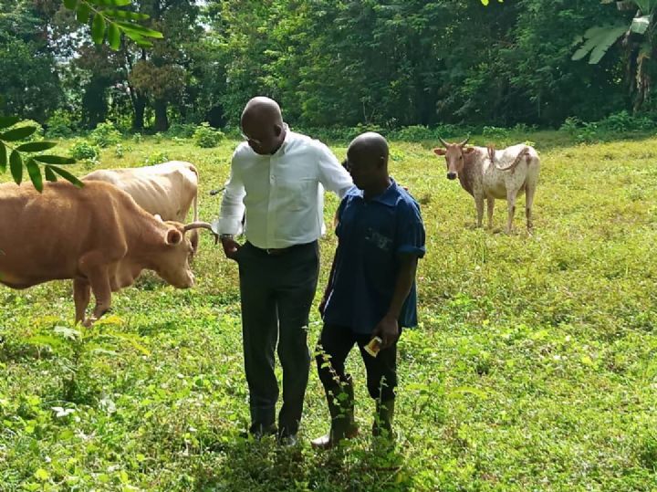 Côte d’Ivoire : le ministre Dosso Moussa prend le poul des préparatifs du Salon de l’agriculture et des ressources animales 2019
