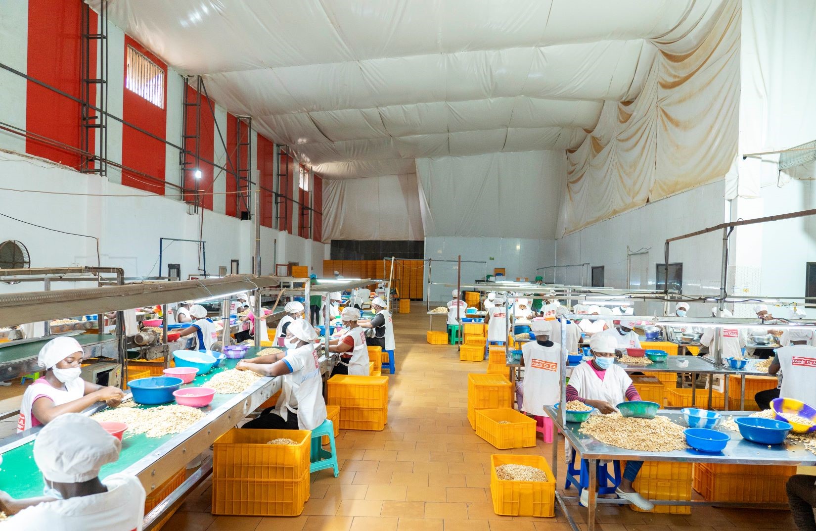 Insertion professionnelle : de nombreux jeunes insérés grâce aux programmes de l’Agence Emploi Jeunes