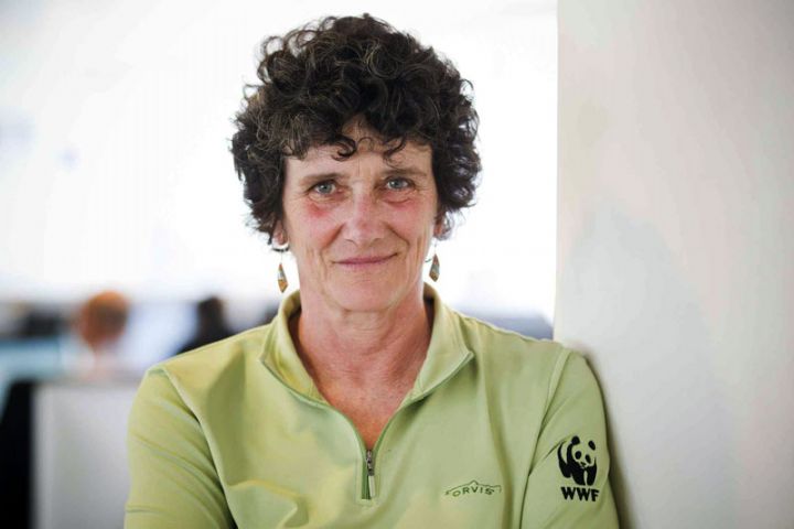 Patrimoine mondial: plus de 114 sites menacés