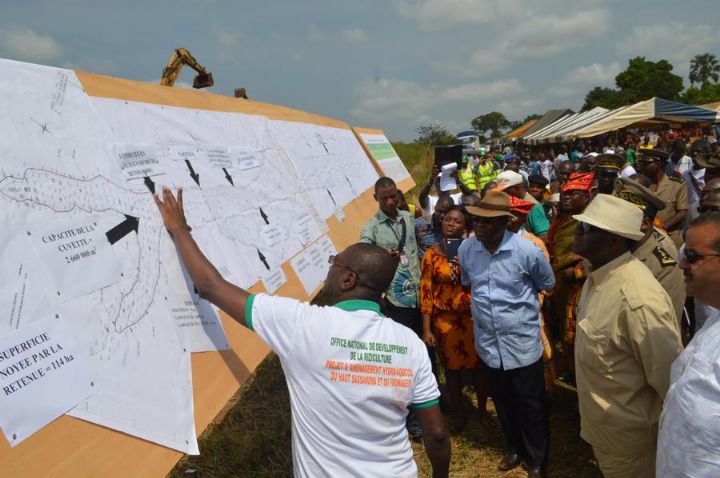 JAAD 2016 dans le Haut Sassandra: Gonaté et Vavoua engagés à relever le défi de l’autosuffisance en riz