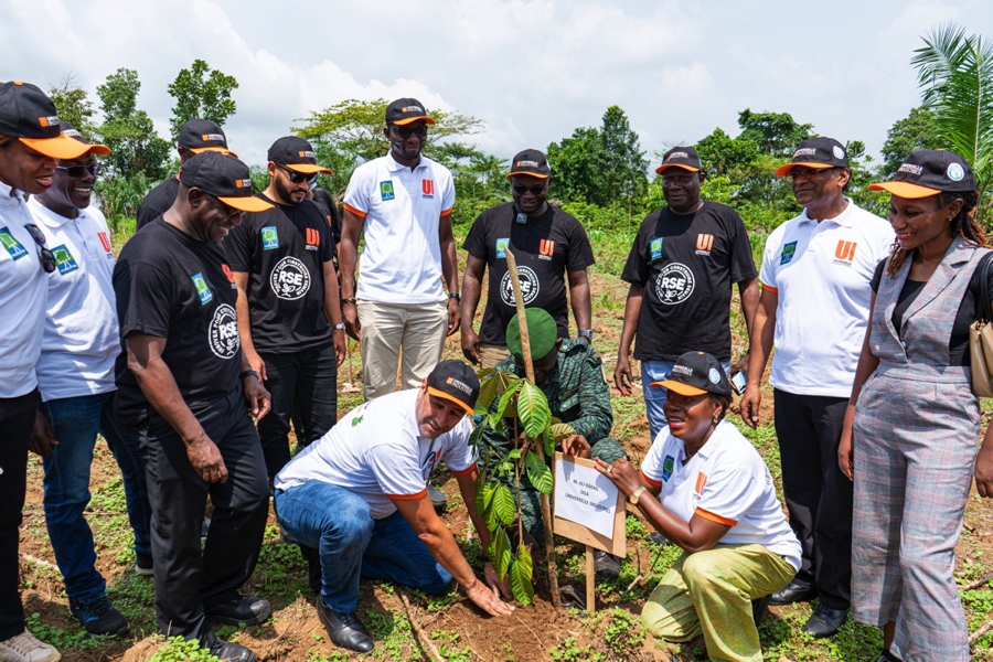 Une industrie organise un planting d’arbres Anguédédou