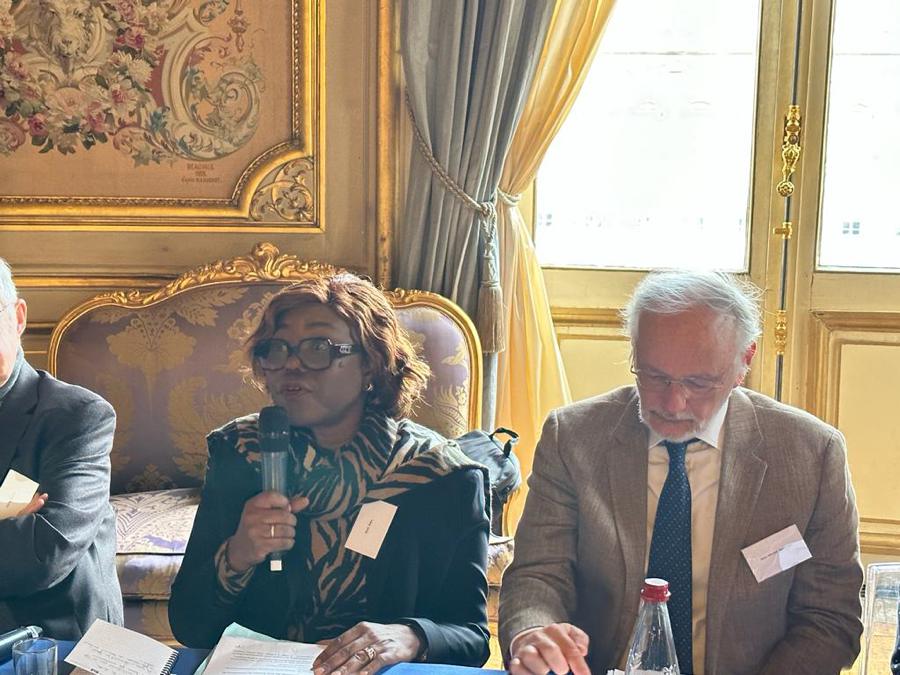 Financement international public du développement : la ministre Kaba Nialé fait des recommandations aux bailleurs de fonds à Paris