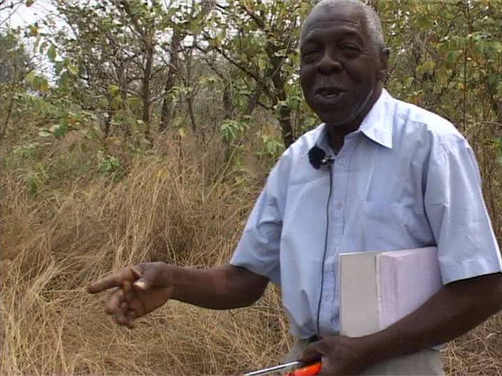 Décès du botaniste ivoirien Laurent Aké Assi : le génie «abandonne » la forêt