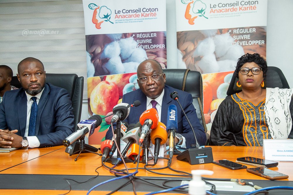 Filière karité : le prix bord-champ fixé à 250 FCFA le kilogramme pour la campagne 2026-2027