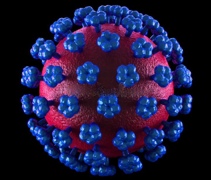 Le gouvernement alerte sur la présence de la fièvre de Lassa dans des états de la sous-région