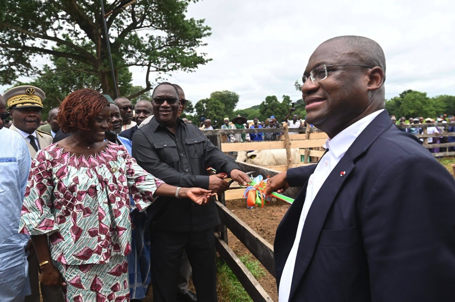 Le gouvernement inaugure un centre de spécialisation de Panya pour moderniser la filière bovine