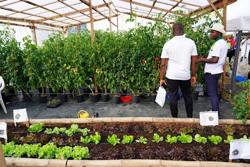 Agriculture et Ressources halieutiques : le gouvernement mobilise 78 milliards FCFA pour la prise en charge de 36 000 jeunes en 2023