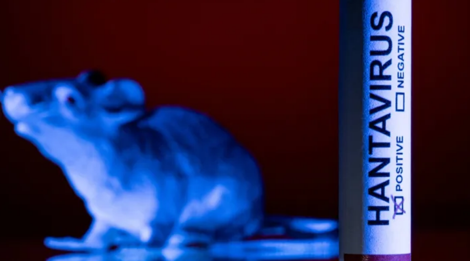 Côte d’Ivoire : malgré l’absence de cas confirmé d’hantavirus, les autorités sanitaires appellent les populations à la vigilance (communiqué)