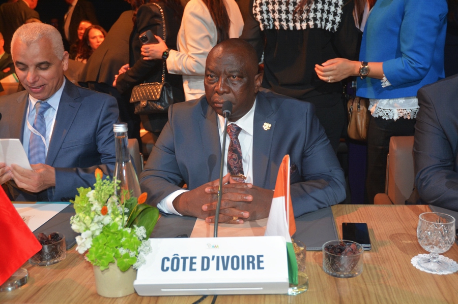 Initiative triple A : le Ministre Kobenan Kouassi Adjoumani présente la vision de la Côte d'Ivoire