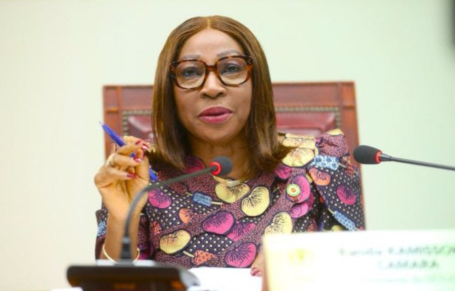 Le Sénat adopte en plénière les projets de loi relative à l'exercice des professions d’infirmier et de sage-femme