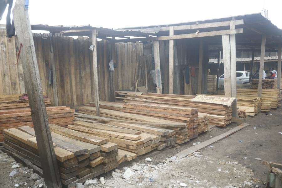 Lutte contre la contrebande : 6 000 madriers saisis par la Brigade spéciale de surveillance et d’intervention (BSSI)