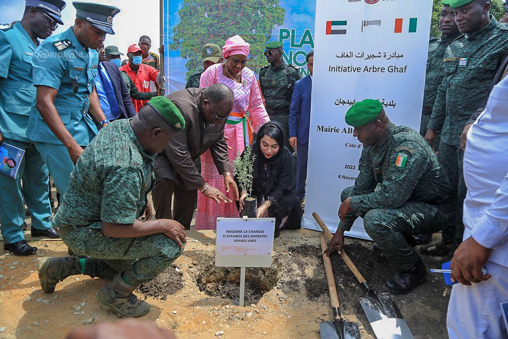 Lutte contre la déforestation: les Émirats Arabes Unis offrent 50 arbres Ghaf à la Côte d'Ivoire