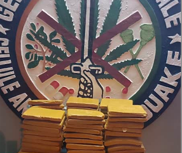 Lutte contre la drogue : 66 blocs de cannabis saisis à Bouaké, un dealer interpellé