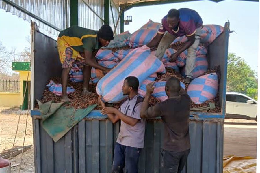 Lutte contre la fuite des matières premières : 14 tonnes de cacao saisies à la frontière ivoiro-guinéenne
